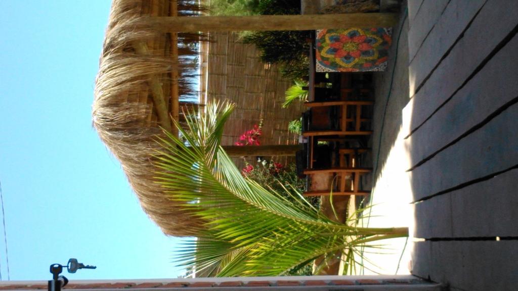 Lapa Lapa Lobitos Bungalows酒店 外观 照片