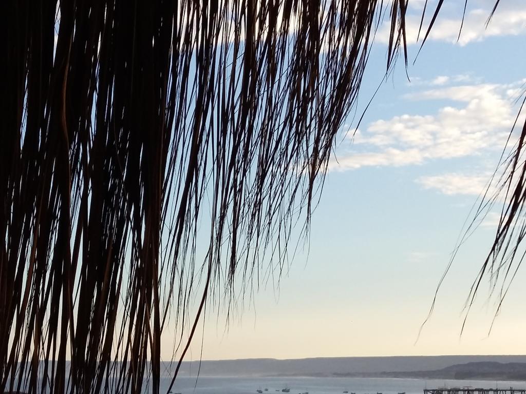 Lapa Lapa Lobitos Bungalows酒店 外观 照片