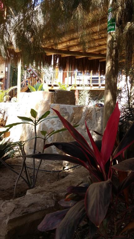 Lapa Lapa Lobitos Bungalows酒店 外观 照片