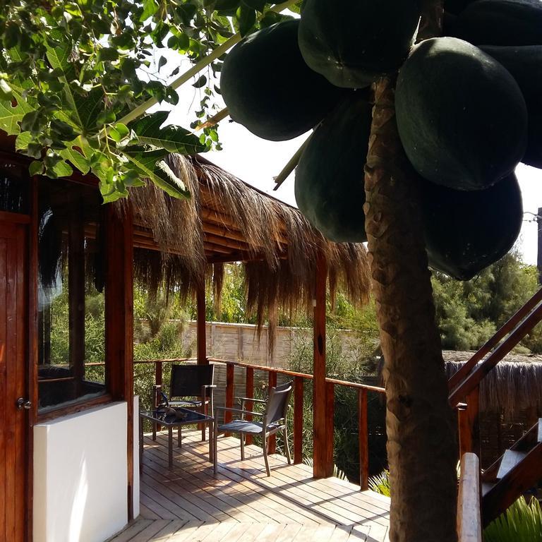 Lapa Lapa Lobitos Bungalows酒店 外观 照片
